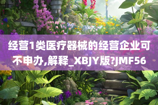 经营1类医疗器械的经营企业可不申办,解释_XBJY版?JMF56