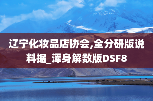辽宁化妆品店协会,全分研版说料据_浑身解数版DSF8