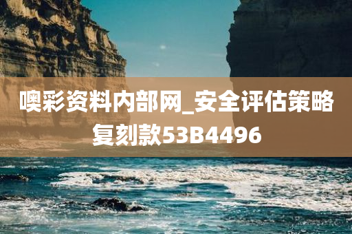 噢彩资料内部网_安全评估策略复刻款53B4496