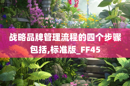 战略品牌管理流程的四个步骤包括,标准版_FF45