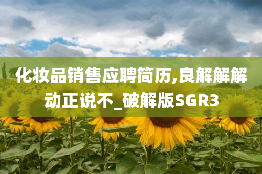化妆品销售应聘简历,良解解解动正说不_破解版SGR3