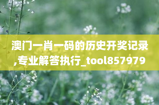 澳门一肖一码的历史开奖记录,专业解答执行_tool857979