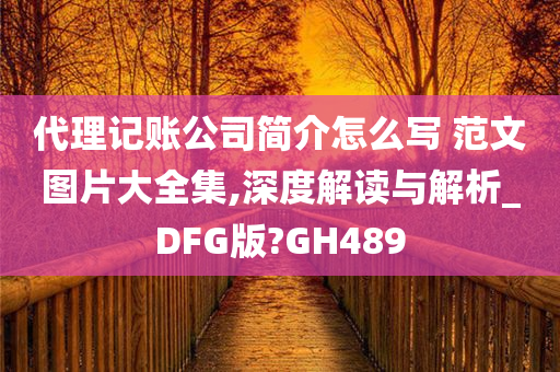 代理记账公司简介怎么写 范文图片大全集,深度解读与解析_DFG版?GH489