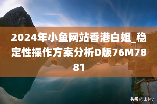 2024年小鱼网站香港白姐_稳定性操作方案分析D版76M7881