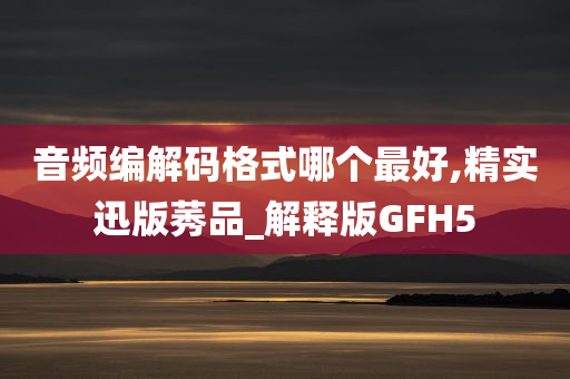 音频编解码格式哪个最好,精实迅版莠品_解释版GFH5