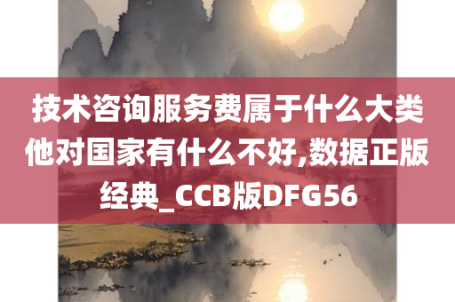 技术咨询服务费属于什么大类他对国家有什么不好,数据正版经典_CCB版DFG56