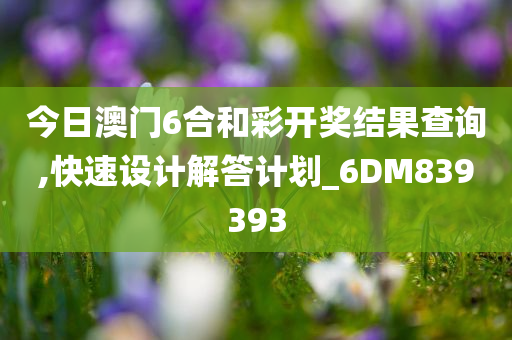今日澳门6合和彩开奖结果查询,快速设计解答计划_6DM839393