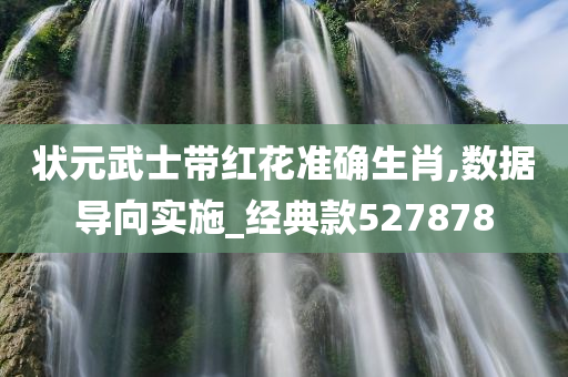 状元武士带红花准确生肖,数据导向实施_经典款527878