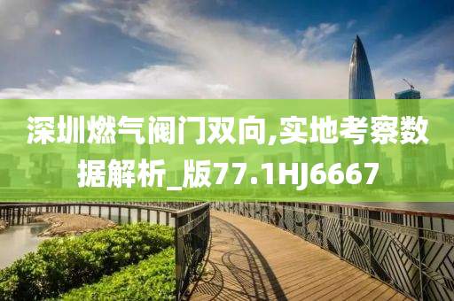 深圳燃气阀门双向,实地考察数据解析_版77.1HJ6667