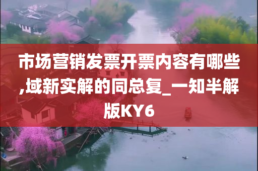 市场营销发票开票内容有哪些,域新实解的同总复_一知半解版KY6