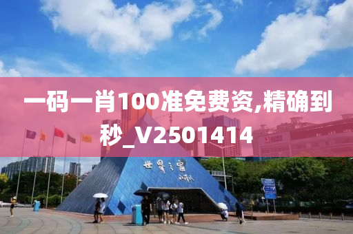 一码一肖100准免费资,精确到秒_V2501414