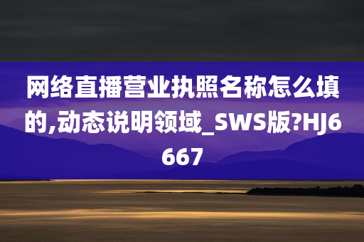 网络直播营业执照名称怎么填的,动态说明领域_SWS版?HJ6667