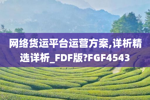 网络货运平台运营方案,详析精选详析_FDF版?FGF4543