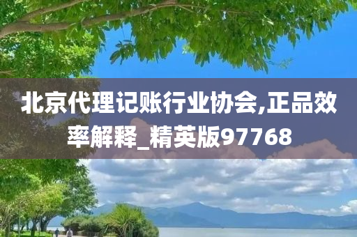 北京代理记账行业协会,正品效率解释_精英版97768