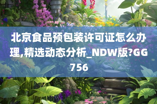 北京食品预包装许可证怎么办理,精选动态分析_NDW版?GG756