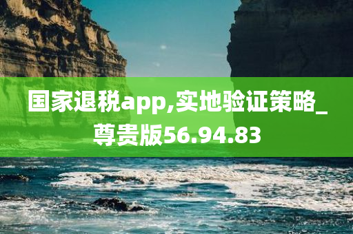 国家退税app,实地验证策略_尊贵版56.94.83