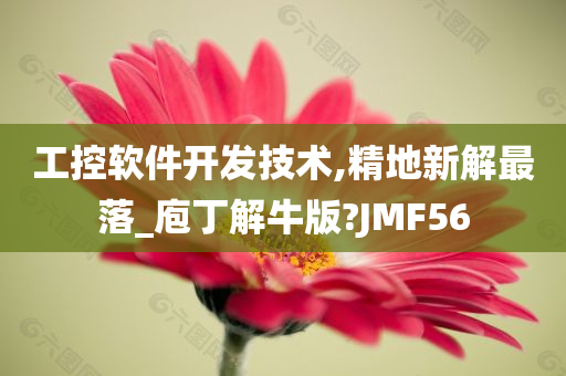 工控软件开发技术,精地新解最落_庖丁解牛版?JMF56