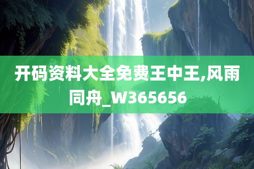 开码资料大全免费王中王,风雨同舟_W365656
