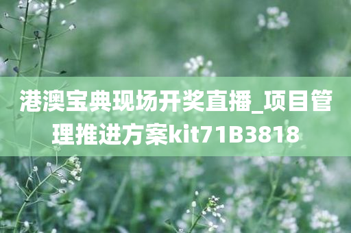 港澳宝典现场开奖直播_项目管理推进方案kit71B3818
