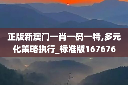 正版新澳门一肖一码一特,多元化策略执行_标准版167676