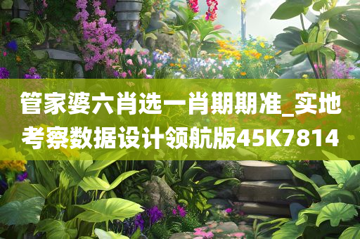 管家婆六肖选一肖期期准_实地考察数据设计领航版45K7814