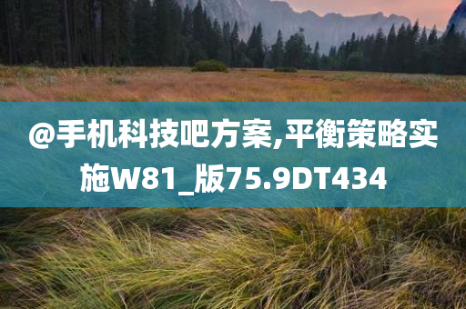 @手机科技吧方案,平衡策略实施W81_版75.9DT434