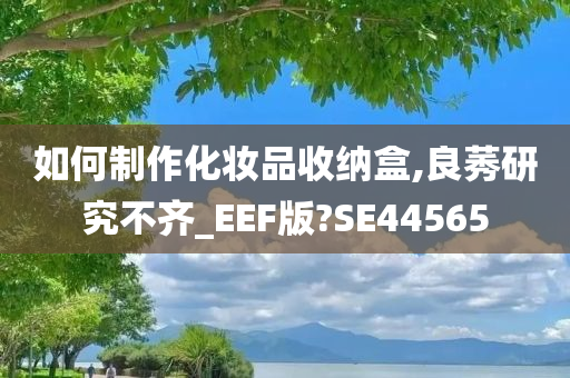 如何制作化妆品收纳盒,良莠研究不齐_EEF版?SE44565