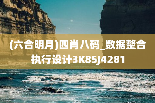 (六合明月)四肖八码_数据整合执行设计3K85J4281