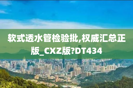 软式透水管检验批,权威汇总正版_CXZ版?DT434