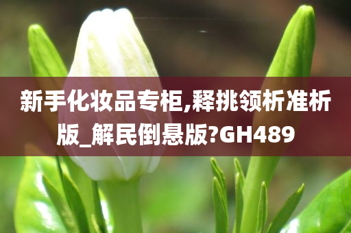 新手化妆品专柜,释挑领析准析版_解民倒悬版?GH489