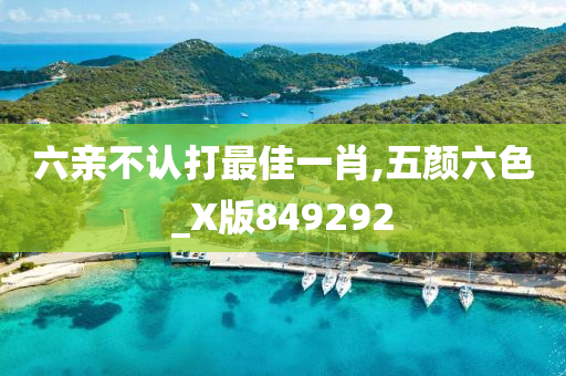 六亲不认打最佳一肖,五颜六色_X版849292
