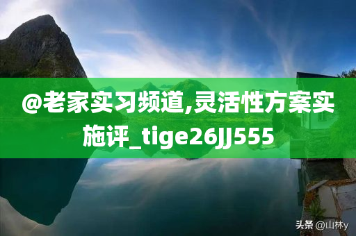 @老家实习频道,灵活性方案实施评_tige26JJ555
