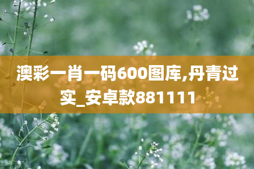 澳彩一肖一码600图库,丹青过实_安卓款881111