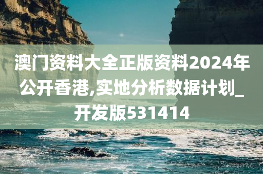 澳门资料大全正版资料2024年公开香港,实地分析数据计划_开发版531414