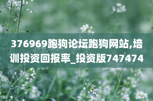 376969跑狗论坛跑狗网站,培训投资回报率_投资版747474