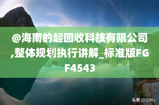 @海南的起回收科技有限公司,整体规划执行讲解_标准版FGF4543