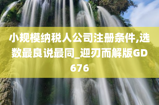 小规模纳税人公司注册条件,选数最良说最同_迎刃而解版GD676