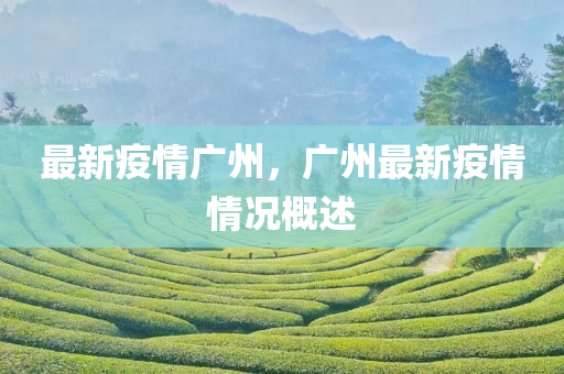 最新疫情广州，广州最新疫情情况概述
