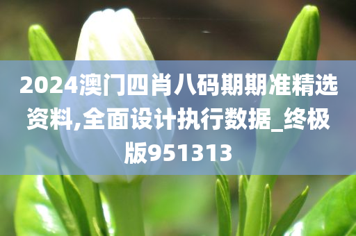 2024澳门四肖八码期期准精选资料,全面设计执行数据_终极版951313