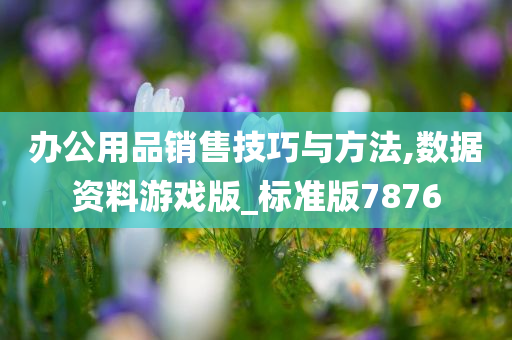办公用品销售技巧与方法,数据资料游戏版_标准版7876