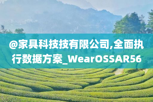 @家具科技技有限公司,全面执行数据方案_WearOSSAR56