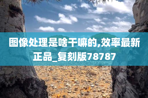图像处理是啥干嘛的,效率最新正品_复刻版78787