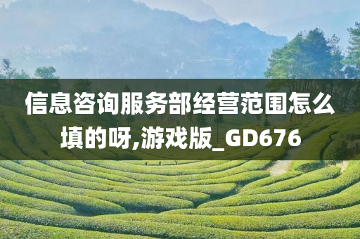 信息咨询服务部经营范围怎么填的呀,游戏版_GD676