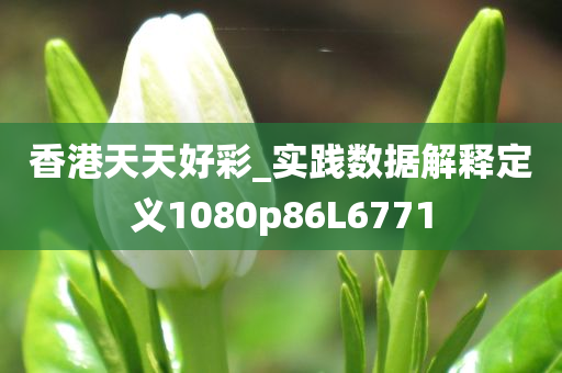 香港天天好彩_实践数据解释定义1080p86L6771