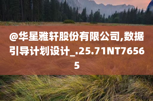 @华星雅轩股份有限公司,数据引导计划设计_.25.71NT76565