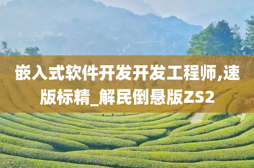 嵌入式软件开发开发工程师,速版标精_解民倒悬版ZS2