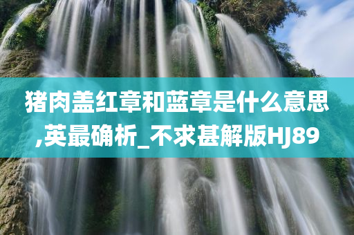 猪肉盖红章和蓝章是什么意思,英最确析_不求甚解版HJ89