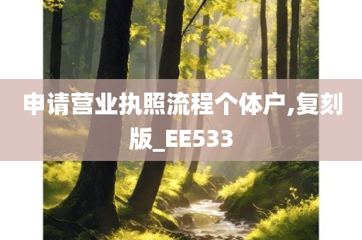 申请营业执照流程个体户,复刻版_EE533