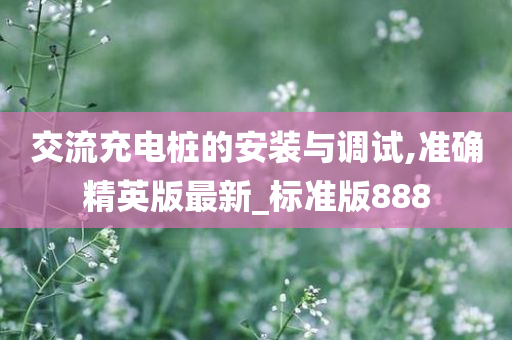 交流充电桩的安装与调试,准确精英版最新_标准版888