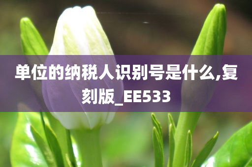 单位的纳税人识别号是什么,复刻版_EE533
